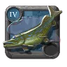 Corvina Comum